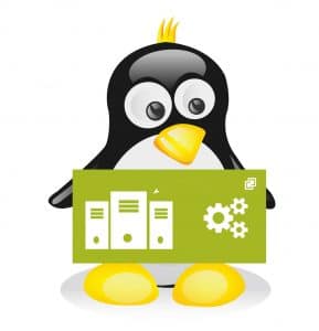 Beginning vCenter Server simulation with Govcsim