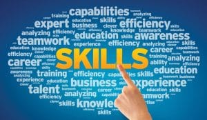 Evolving Careers and Skills in the IT Industry