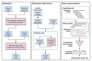 Google’s AI division released an Open-source update to DeepVariant