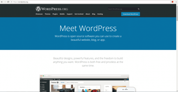 WordPress: Tool for Building Websites