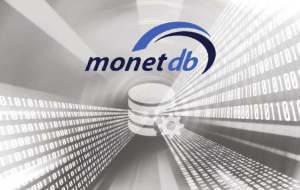 Using MonetDB for High-Performance Applications