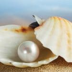 How to Program with Shell Scripts: A Tutorial