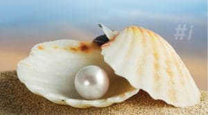 How to Program with Shell Scripts: A Tutorial