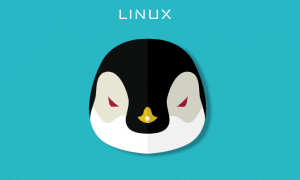 Crunchbang Linux Minimalist and Mac-Friendly