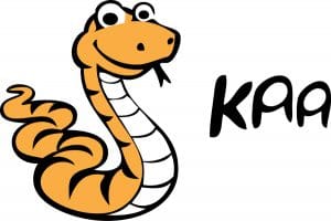Kaa Friendly and Flexible Middleware for the Internet of Things