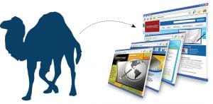 Perl Modules Used for Web Designing