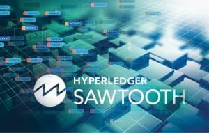 A Deep Dive into the Hyperledger Sawtooth Architecture