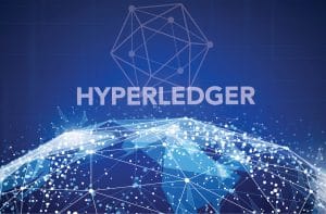 An Overview of the Private Data Collection Feature in Hyperledger Fabric