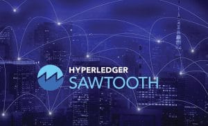 Hyperledger Sawtooth Architecture: An Introduction to the Validator Network