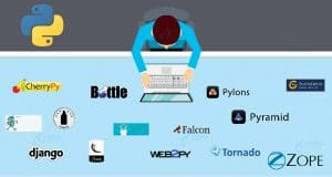 A Complete Guide to Python Web Frameworks