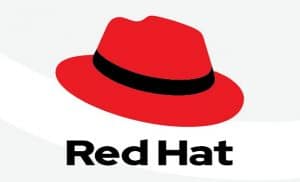 IBM-owned Red Hat Joins Foundation for Developing Open Source RISC-V ISA