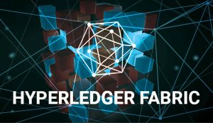 Endorsement Policies in Hyperledger Fabric