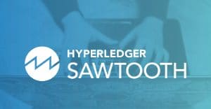 Hyperledger Sawtooth Transaction Families: Settings