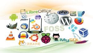 FOSS in India: Perspectives of an American Anthropologist