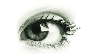 An Introduction to Cassandra