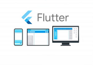 Developing a Simple Web Application Using Flutter