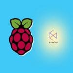 Open-Source NymphCast Lets You Use Raspberry Pi Like a Chromecast