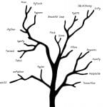 Python Libraries that Developers Should be Familiar With
