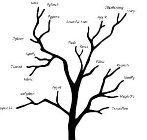 Python Libraries that Developers Should be Familiar With