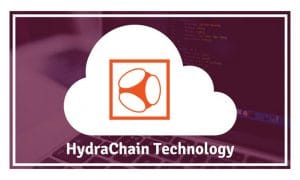 A Brief Introduction to HydraChain, a Popular Distributed Ledger System