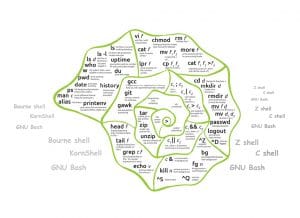 A List of Linux Shells to Choose From