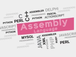 assembly programming