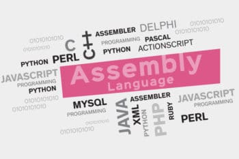 Assembly Language Programming in Linux: An Overview
