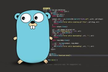 Go: The Server Language