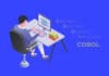 cobol programmer