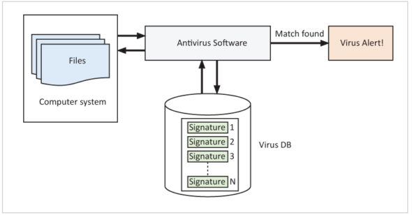  Virus detection process