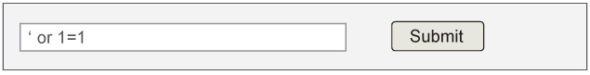 Figure 2: HTML form input for SQL injection to bypass user’s name validation