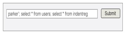 Multiple query input form