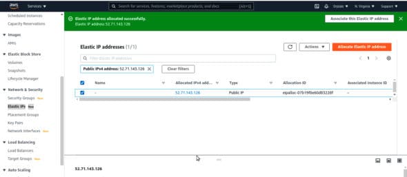 Allocate Elastic IP