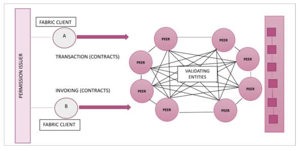 Hyperledger Fabric model