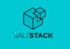 saltstack