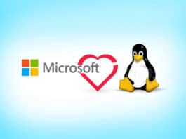 microsoft love open source