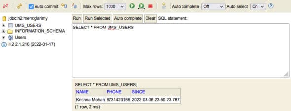 Results in the H2 database console