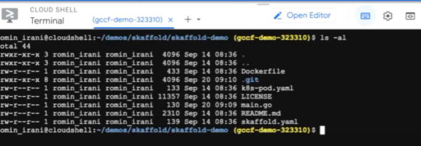 Inside the Cloud Shell terminal