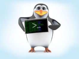 penguin with linux command