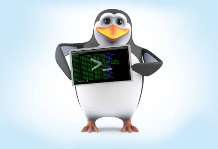 penguin with linux command