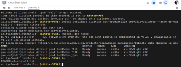 Kubernetes cluster running nodes 