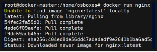 Figure 3: Creating NGINX as a sample Docker container application
