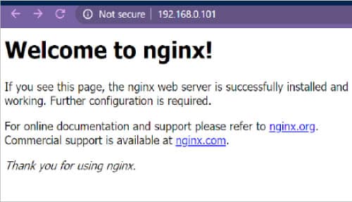 Figure 4: NGINX Docker container successfully installed