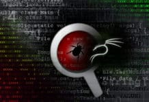 Vulnerability Testing Using Kali Linux uniscan
