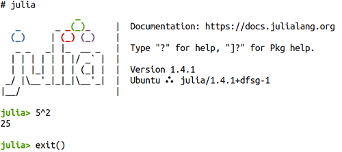 Julia REPL