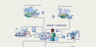 IoT Smart Farming