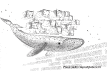 Kubernetes: A Dependable and Popular Platform