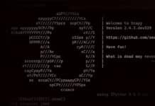 Scapy: The Packet Manipulation Library Scapy