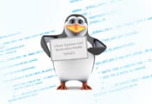 The Linux System Call Execution Model: An Insight