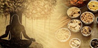 IIT Alumni Unveil Open Source Health Platform, With Dr Shantaram Kane